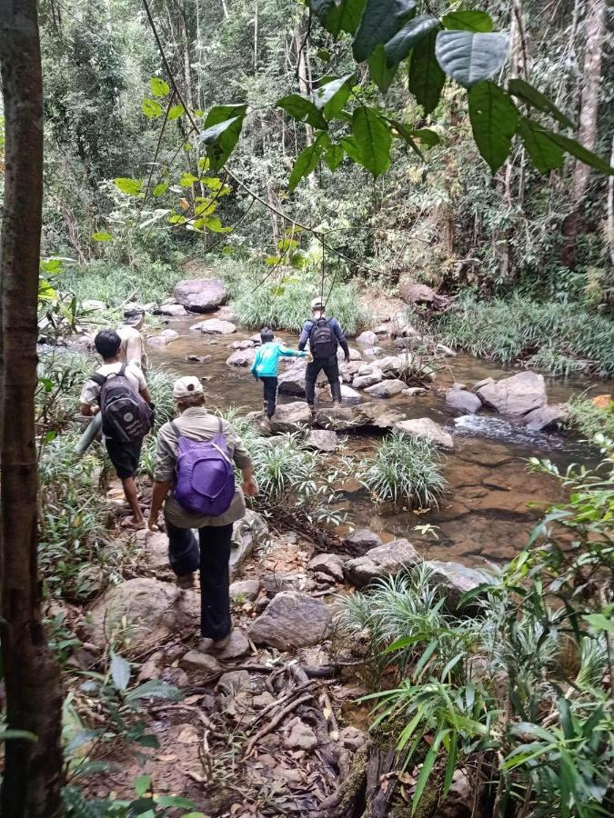 Bee Bee'S Chalets Home Stay And Trekking Banlung Екстер'єр фото