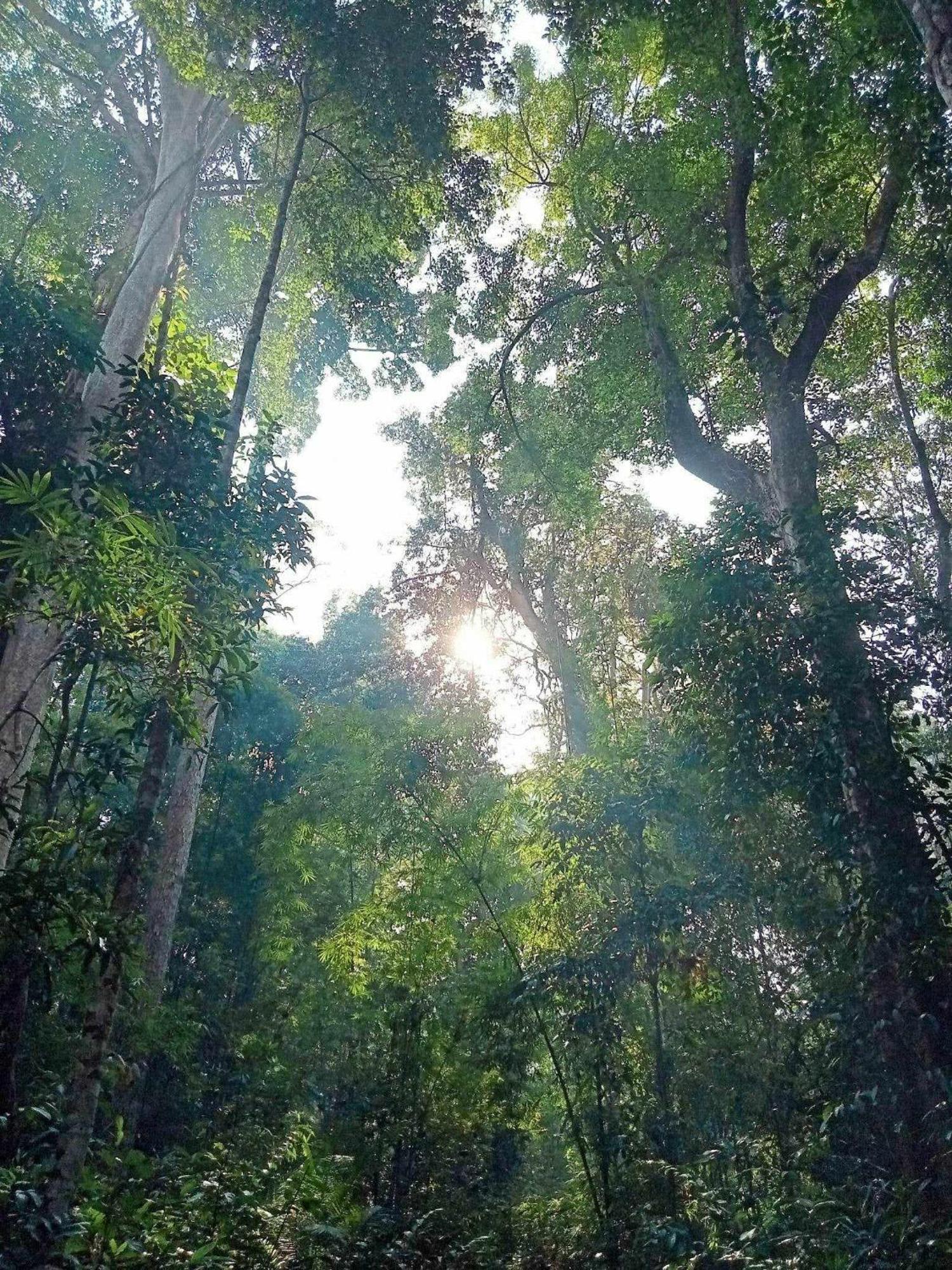 Bee Bee'S Chalets Home Stay And Trekking Banlung Екстер'єр фото
