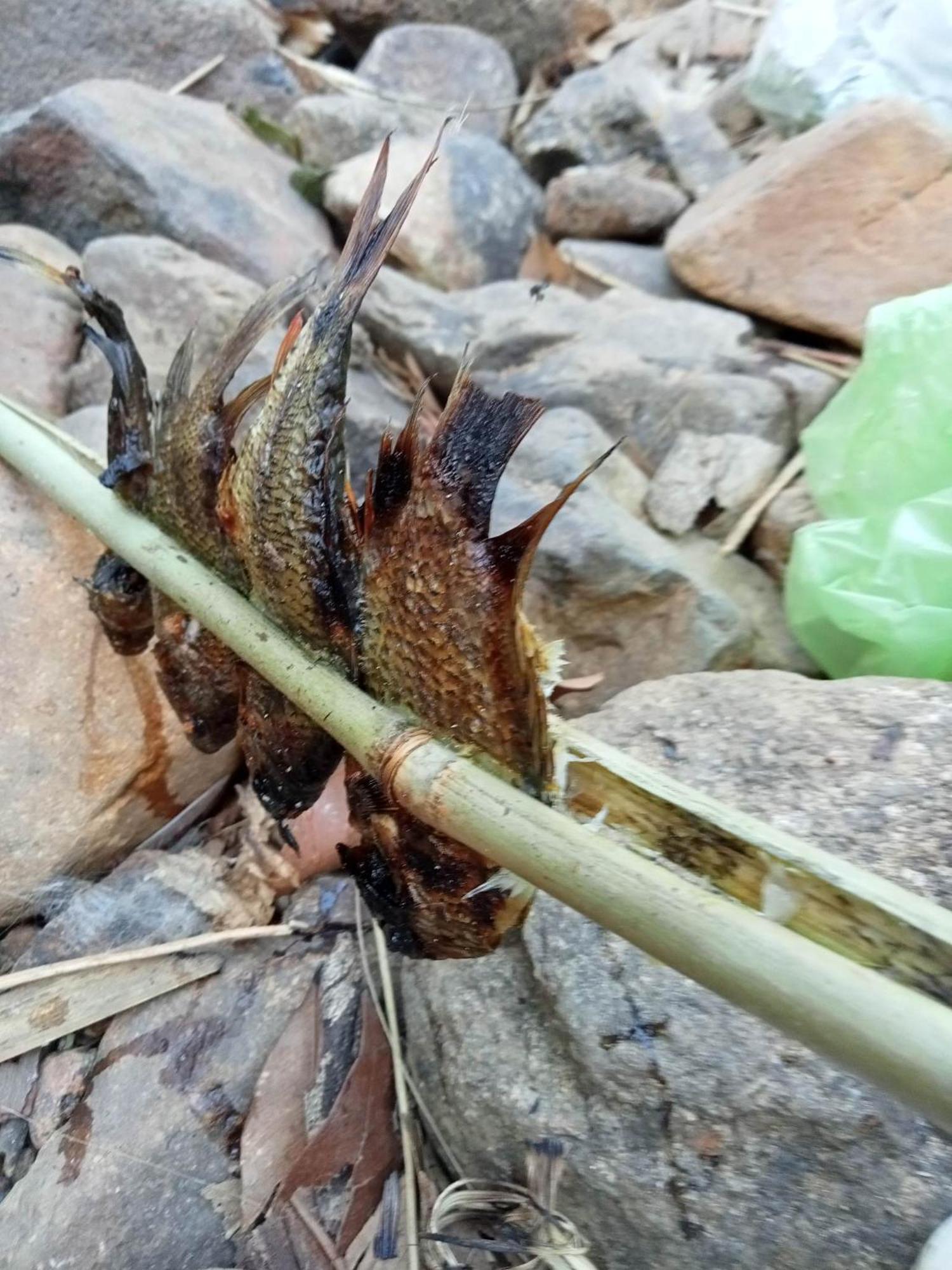 Bee Bee'S Chalets Home Stay And Trekking Banlung Екстер'єр фото