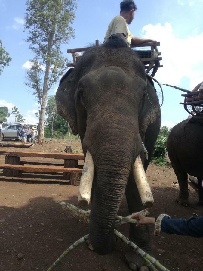 Bee Bee'S Chalets Home Stay And Trekking Banlung Екстер'єр фото